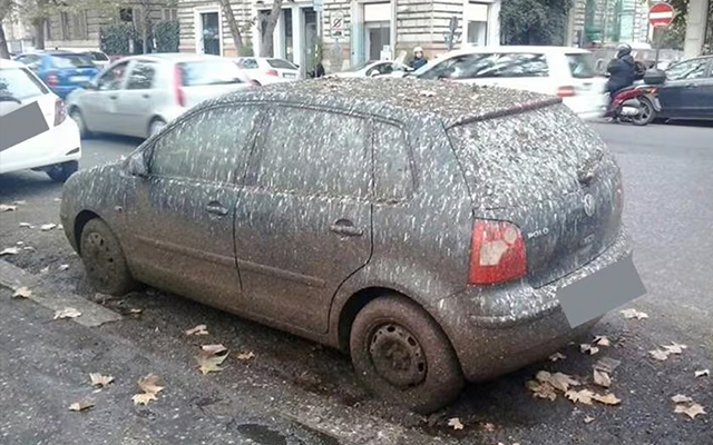 Guano e viabilità, un problema costante nelle città